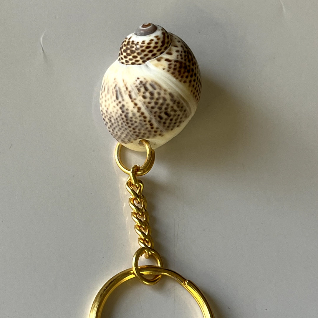 key Chain(SK) ( pack of 2 )