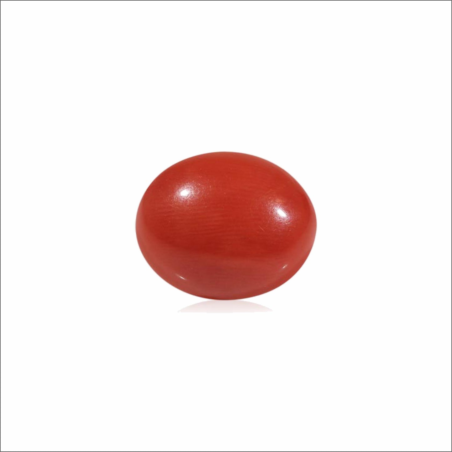 Moonga (Red Coral)