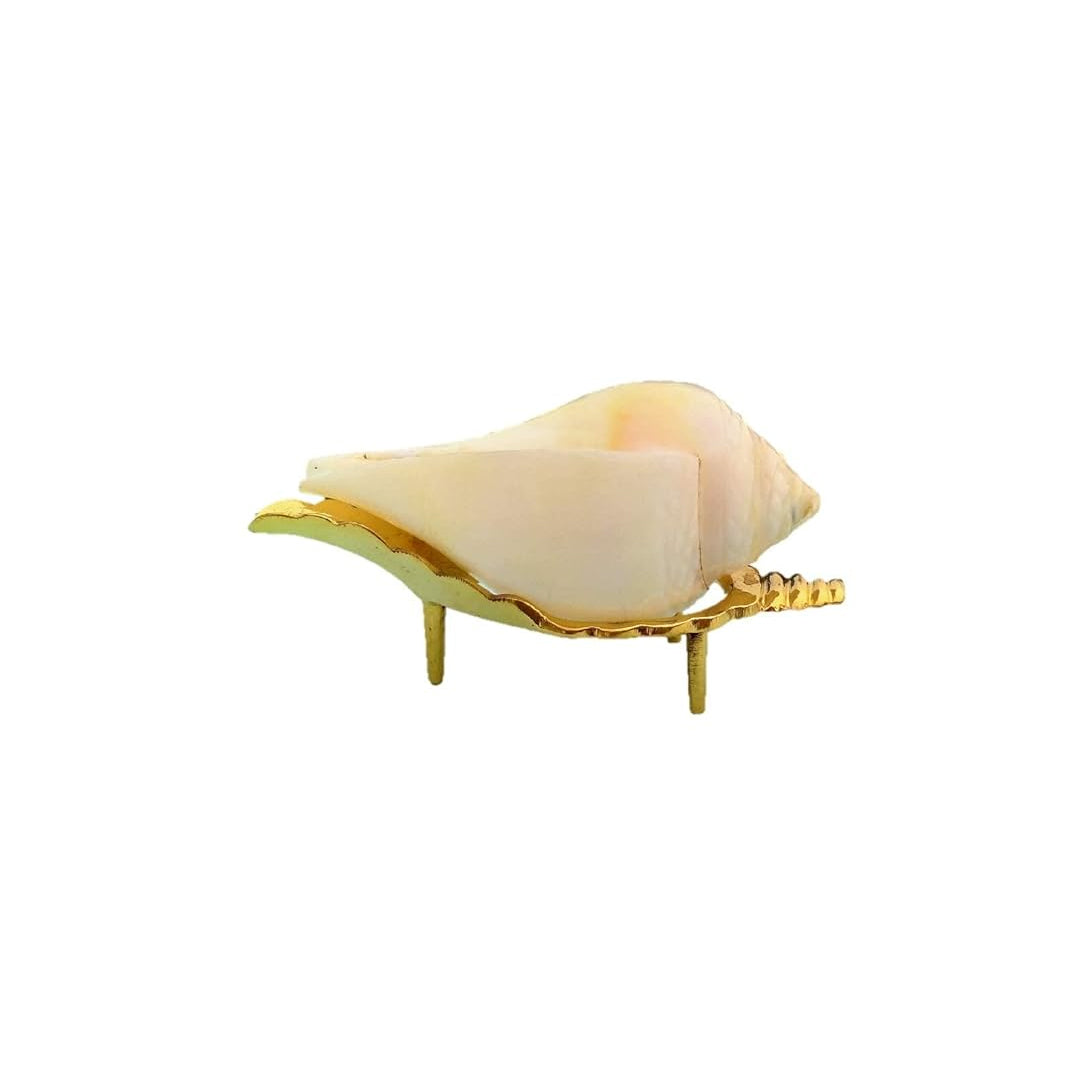 Shankh Stand