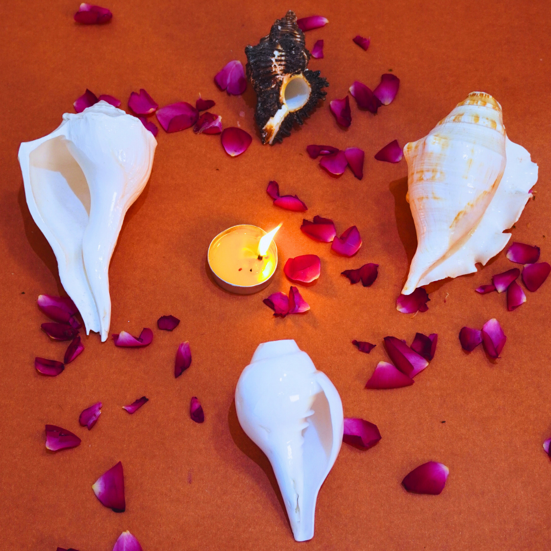 Shankh combo ( 4 types of shankh )