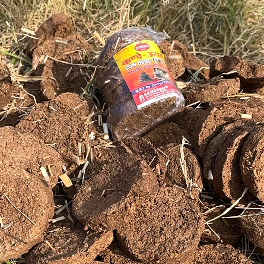 Sanatan Kanda/ Upla / Cow Dung