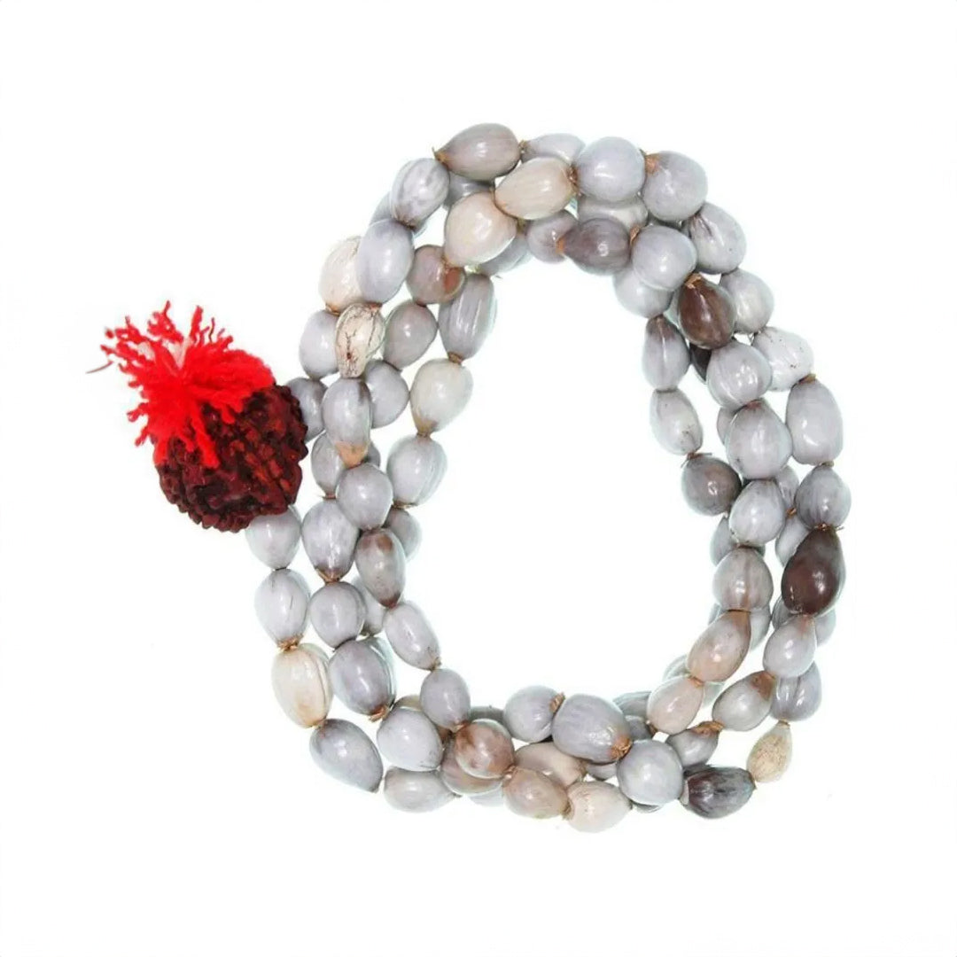 Vaijanti Mala