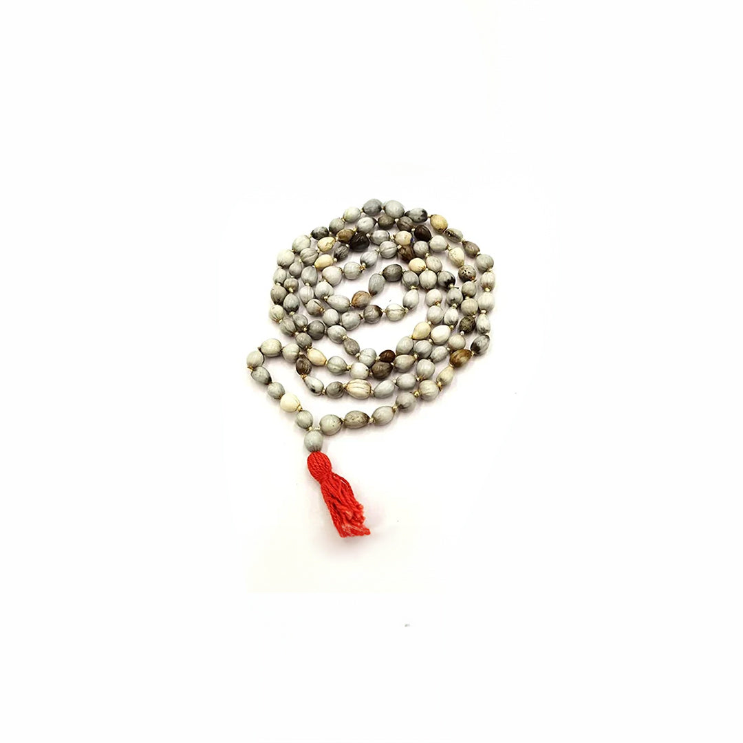 Vaijanti Mala