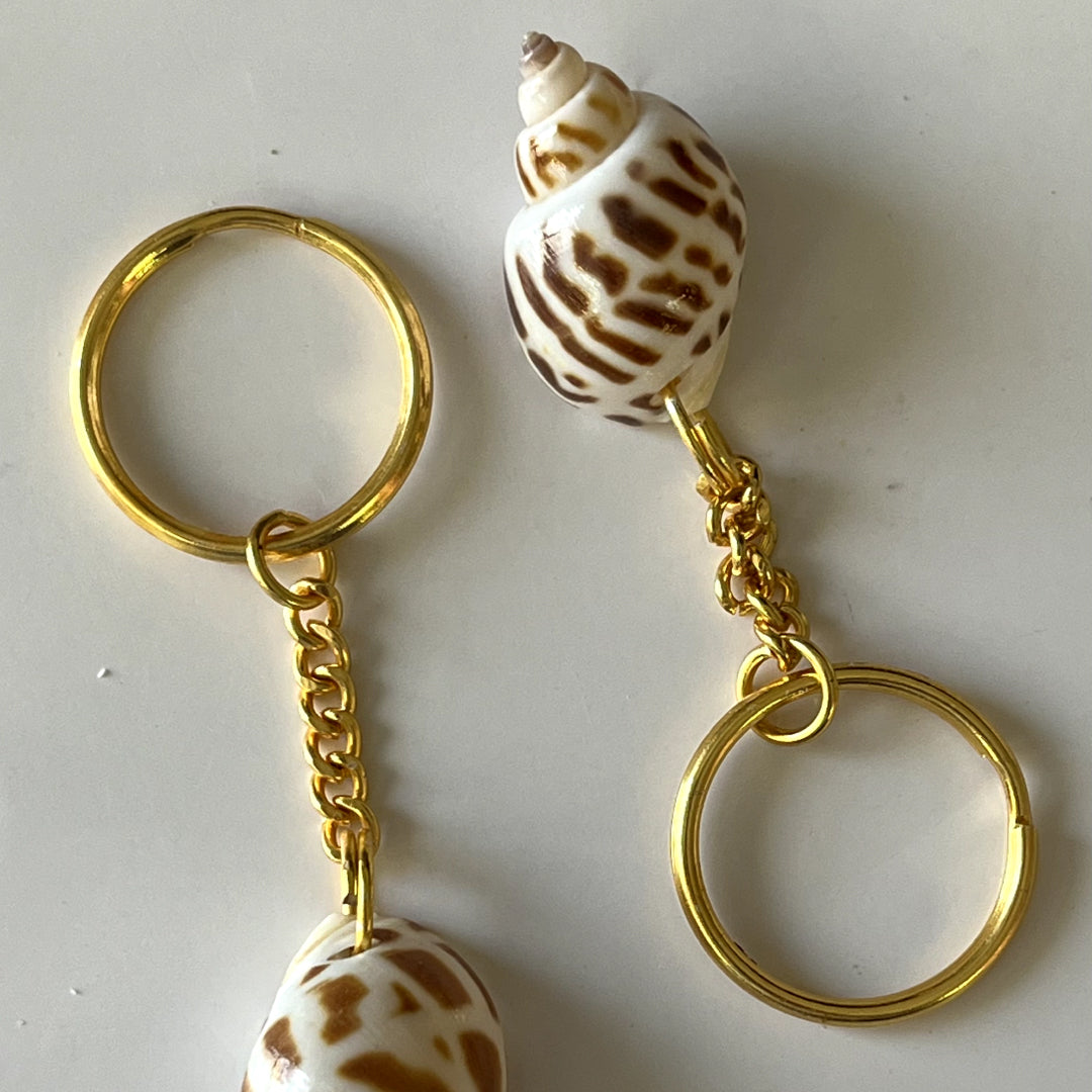 key Chain(SK) ( pack of 2 )