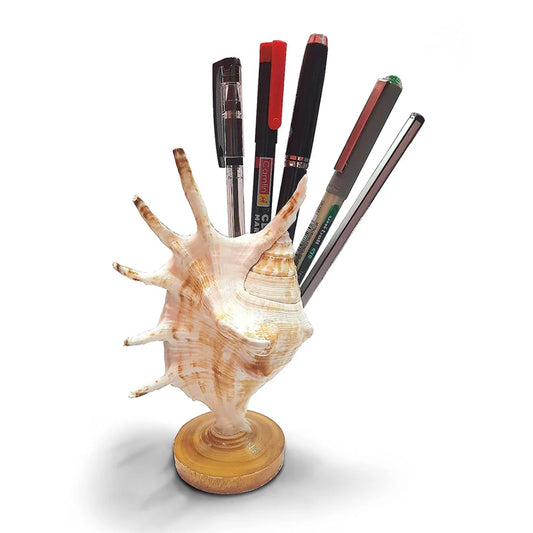 Cutting Shell Pen Stand