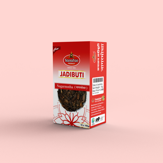 Sanatan Pure Nagarmotha Root – For Ritual & Spiritual Use